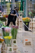 MIN RUNGIS-Fleurs-88